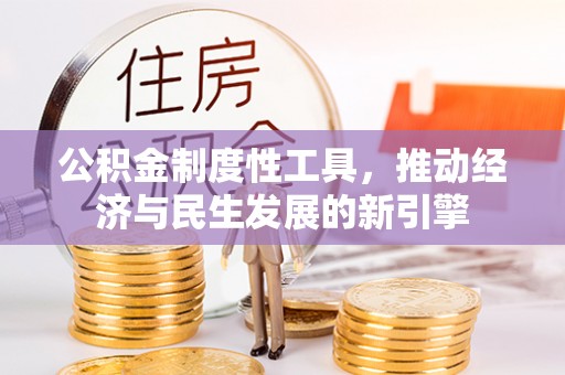 台西公积金制度性工具，推动经济与民生发展的新引擎
