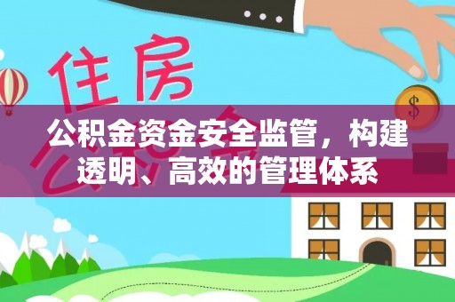 台西公积金资金安全监管，构建透明、高效的管理体系