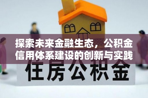 台西探索未来金融生态，公积金信用体系建设的创新与实践