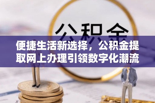 台西便捷生活新选择，公积金提取网上办理引领数字化潮流
