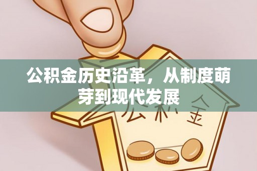 台西公积金历史沿革，从制度萌芽到现代发展