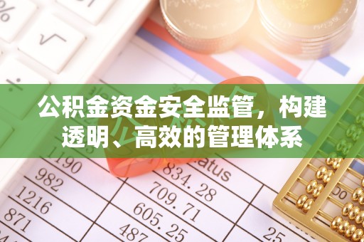台西公积金资金安全监管，构建透明、高效的管理体系