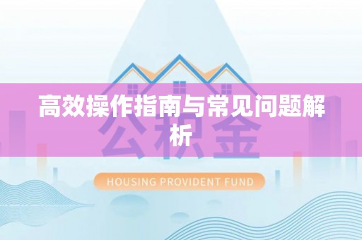 台西高效操作指南与常见问题解析