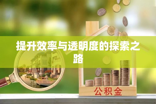 台西提升效率与透明度的探索之路