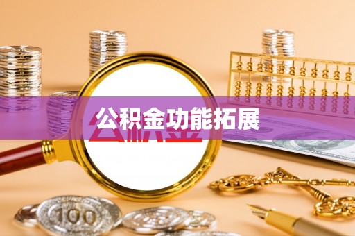 台西公积金功能拓展