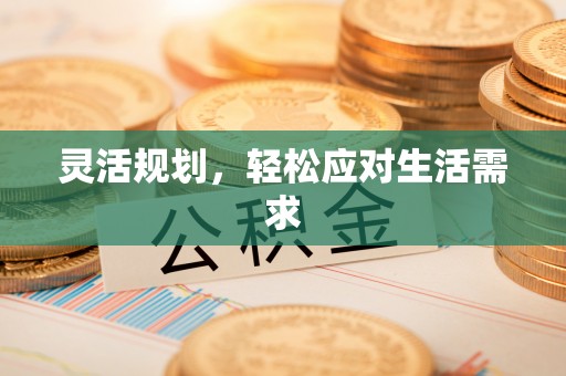 台西灵活规划，轻松应对生活需求
