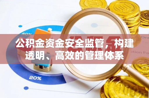 台西公积金资金安全监管，构建透明、高效的管理体系