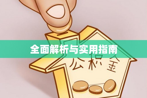 台西全面解析与实用指南